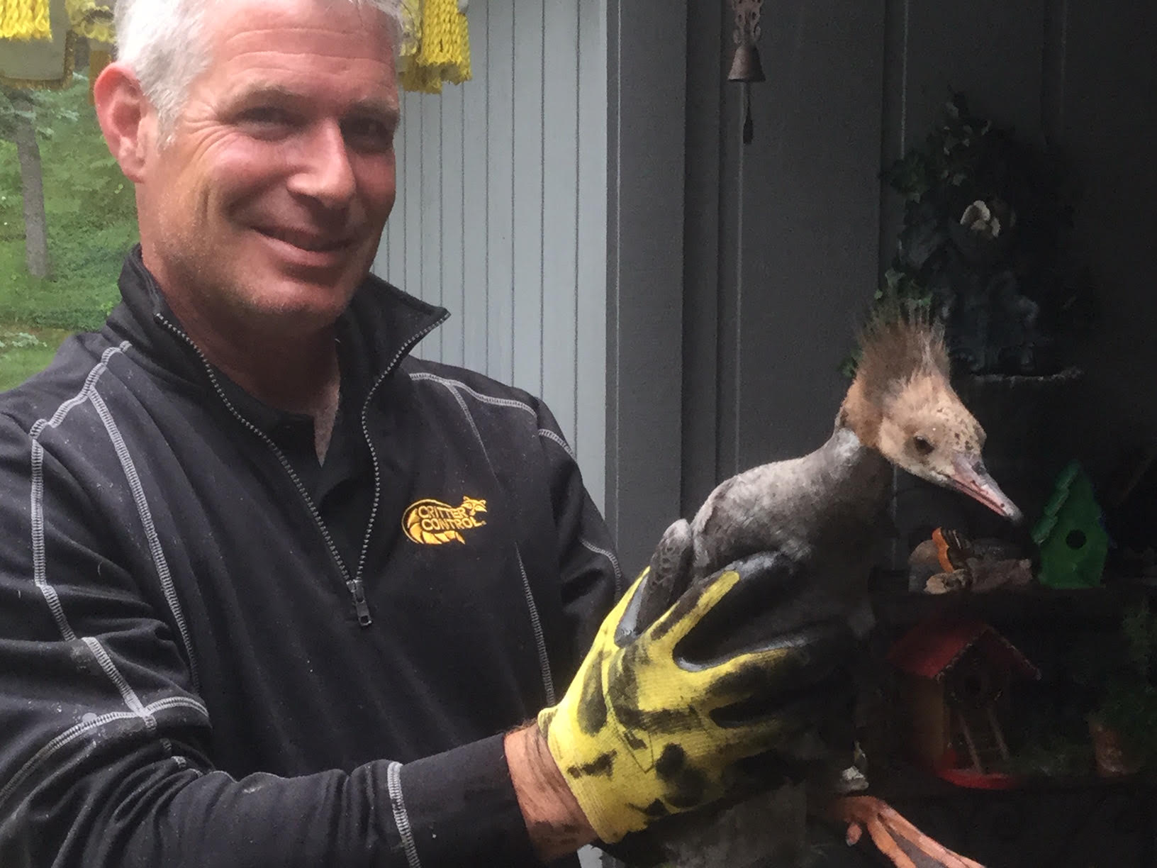 Critter Control technician holding removed wildlife in Green Bay.
